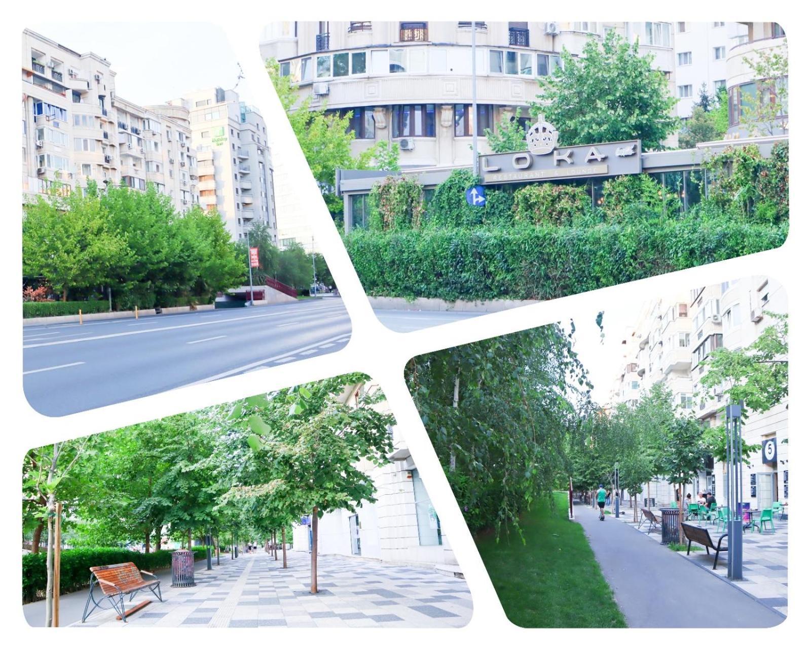 Central Apartament Bulevardul Decebal บูคาเรสต์ ภายนอก รูปภาพ